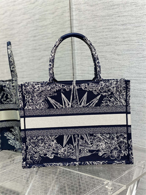 CD Medium Book Tote R??ve d’Infini Embroidery Blue and White