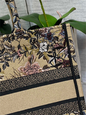 CD Medium Book Tote Jardin d’Hiver Embroidery Beige Multicolor