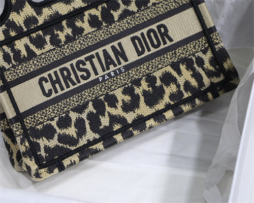 CD Mini Book Tote Beige Multicolor Mizza Embroidery