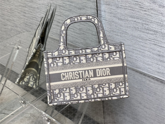 CD Mini Book Tote Grey Oblique Embroidery