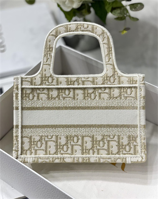 CD Mini Book Tote Oblique Embroidery White and Gold Tone