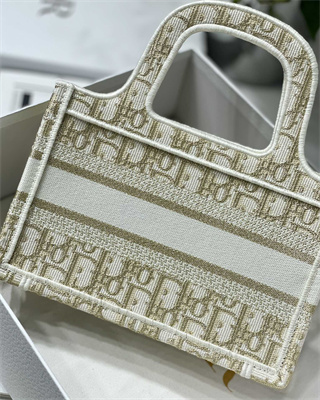 CD Mini Book Tote Oblique Embroidery White and Gold Tone