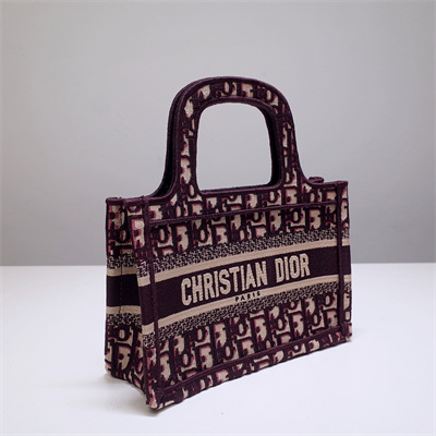 CD Mini Book Tote Oblique Embroidery Burgundy