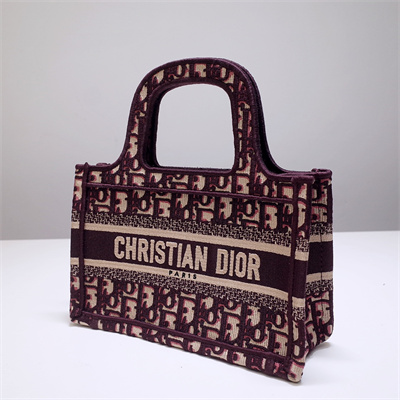 CD Mini Book Tote Oblique Embroidery Burgundy