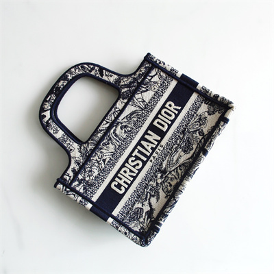 CD Mini Book Tote Toile de Jouy Embroidery Ecru and Blue