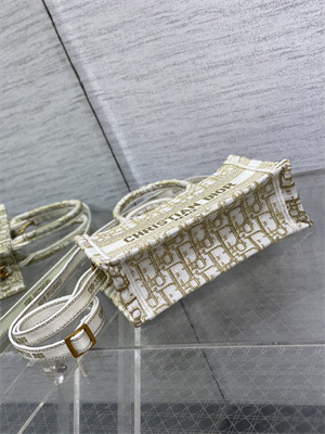 CD Mini Book Tote With Strap Oblique Embroidery White and Gold Tone