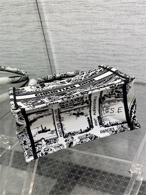 CD Small Book Tote White and Black Plan de Paris Embroidery