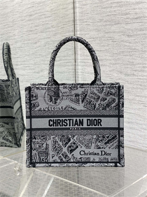 CD Small Book Tote Grey and Black Plan de Paris Embroidery