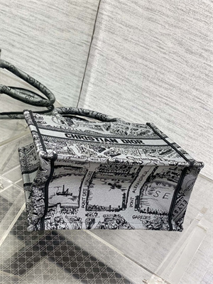 CD Small Book Tote Grey and Black Plan de Paris Embroidery
