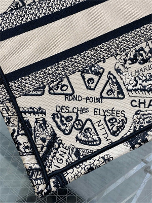 CD Small Book Tote Beige and Black Plan de Paris Embroidery