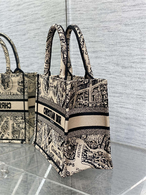 CD Small Book Tote Beige and Black Plan de Paris Embroidery