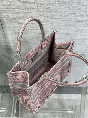 CD Small Book Tote Toile de Jouy Embroidery Pink and Grey