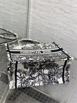 CD Small Book Tote Voyage Toile de Jouy Embroidery White and Black