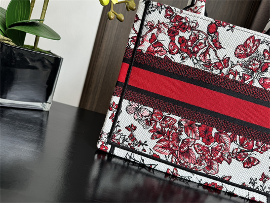 CD Small Book Tote  Le Ceour des Papillons Embroidery White and Red