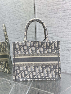 CD Small Book Tote Ecru and Grey Oblique Embroidery