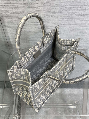 CD Small Book Tote Ecru and Grey Oblique Embroidery