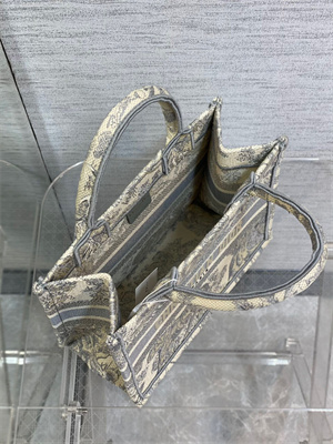 CD Small Book Tote Toile de Jouy Embroidery Ecru and Grey