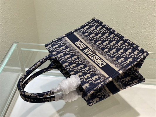 CD Small Book Tote Ecru and Blue Oblique Embroidery