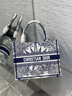 CD Small Book Tote R??ve d’Infini Embroidery White and Blue