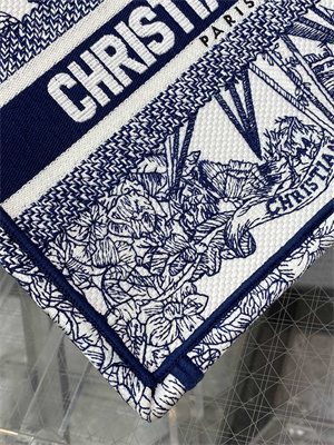 CD Small Book Tote R??ve d’Infini Embroidery White and Blue