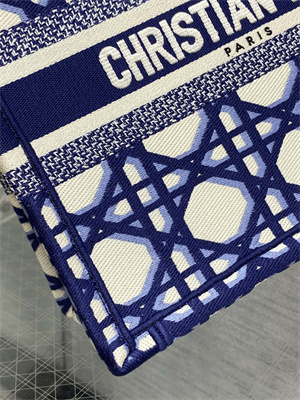 CD Small Book Tote Beige and Blue Macrocannage Embroidery