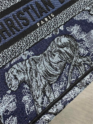 CD Small Book Tote Toile de Jouy Embroidery Denim Blue