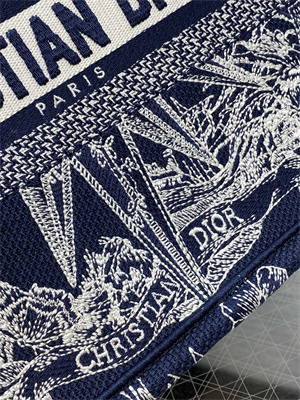 CD Small Book Tote R??ve d’Infini Embroidery Blue and White