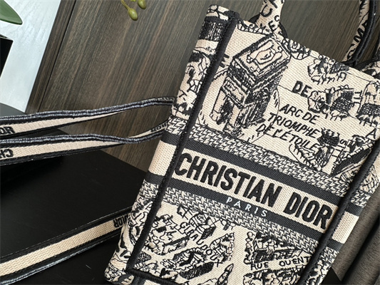 CD Mini Vertical Di.or Book Tote With Strap Plan de Paris Embroidery Beige and Black
