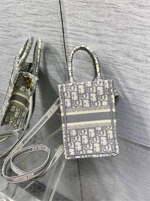 CD Mini Vertical Di.or Book Tote With Strap Grey Oblique Embroidery