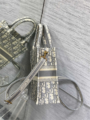 CD Mini Vertical Di.or Book Tote With Strap Grey Oblique Embroidery