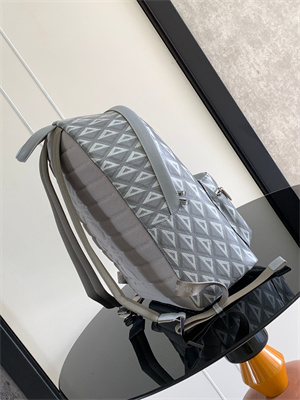 di.or rider backpack grey cd Di*m*nd canvas and smooth calfskin