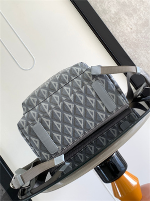 di.or rider backpack grey cd Di*m*nd canvas and smooth calfskin