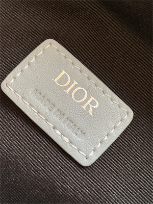 di.or lingot 22 shoulder bag grey cd Di*m*nd canvas