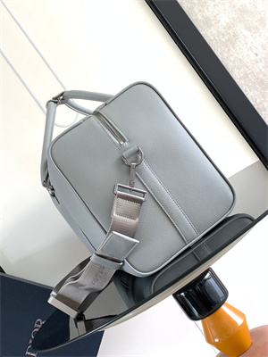 Di.or Lingot 50 Travel Bag Grey Grained Calfskin