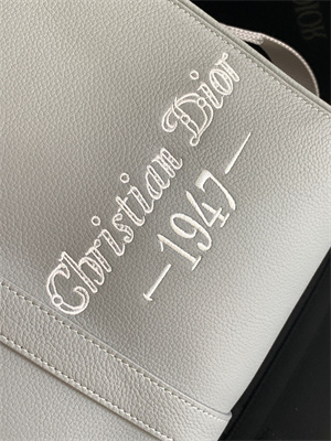 Di.or Lingot 50 Travel Bag Grey Grained Calfskin