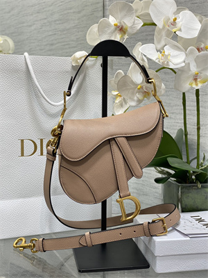 CD Mini Saddle Bag Grained Calfskin Blush Color