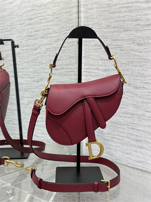 CD Mini Saddle Bag Grained Calfskin Wine Color