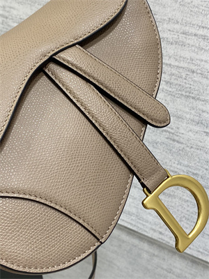 CD Mini Saddle Bag Grained Calfskin Warm Taupe Color