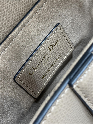 CD Mini Saddle Bag Grained Calfskin Warm Taupe Color