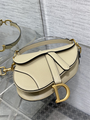CD Mini Saddle Bag Grained Calfskin Sand Color
