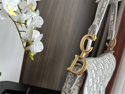 CD Saddle Bag Oblique Embroidery Gray Color