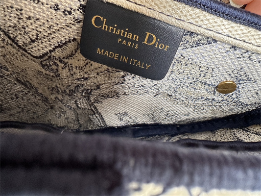 CD Saddle Bag Toile de Jouy Embroidery Blue Color