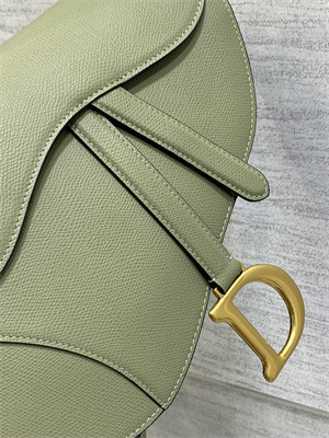 CD Saddle Bag Grained Calfskin Lt Green Color