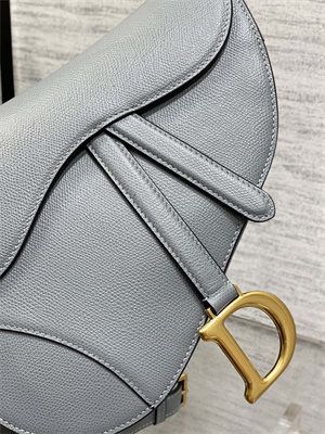 CD Saddle Bag Grained Calfskin Dusty Blue Color