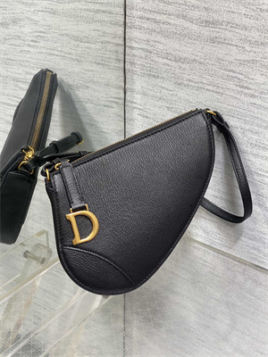 CD Saddle Shoulder Pouch Goatskin Black Color