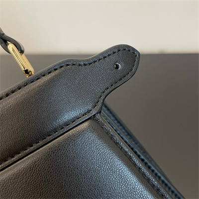 Fen.di Peekaboo ISeeU Petite Leather Bag Black Color