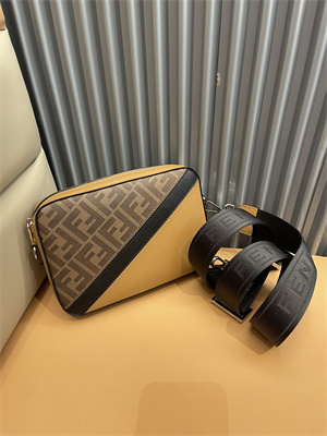 Fen.di DIAGONAL CAMERA CASE Brown Multicolor Leather Bag