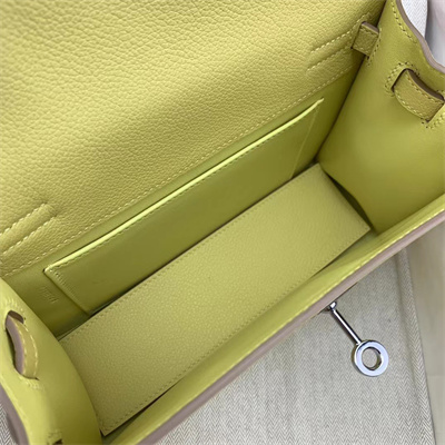 Kelly Danse Bag Evercolor Leather Silver Tone Metal In Jaune Poussin Color HS