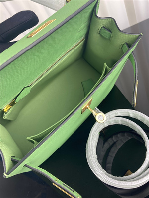 Kelly Sellier Bag Epsom Leather 25/28CM Gold/Silver Hardware In Vert Criquet Color HS