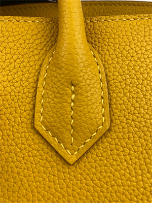 Bir.kin Bag TOGO Leather 25/30/35CM Gold/Silver Hardware In Jaune Amber Color HS